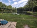 Etang des Forges